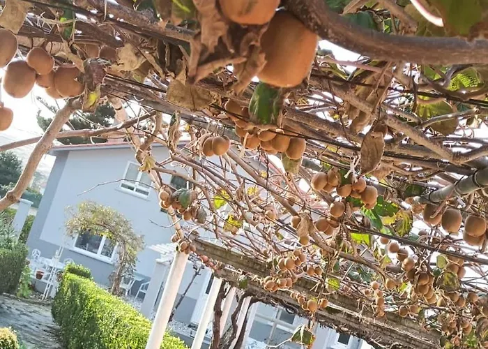 Дом отдыха Equilibrium *